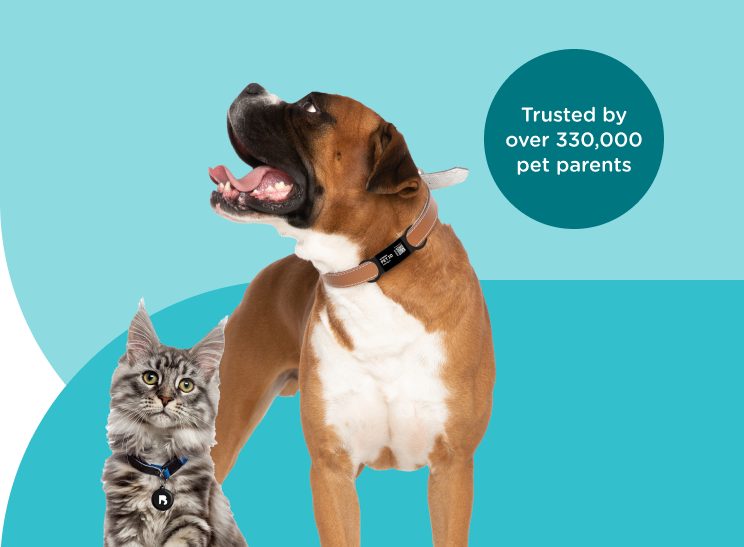 24petwatch tags sale