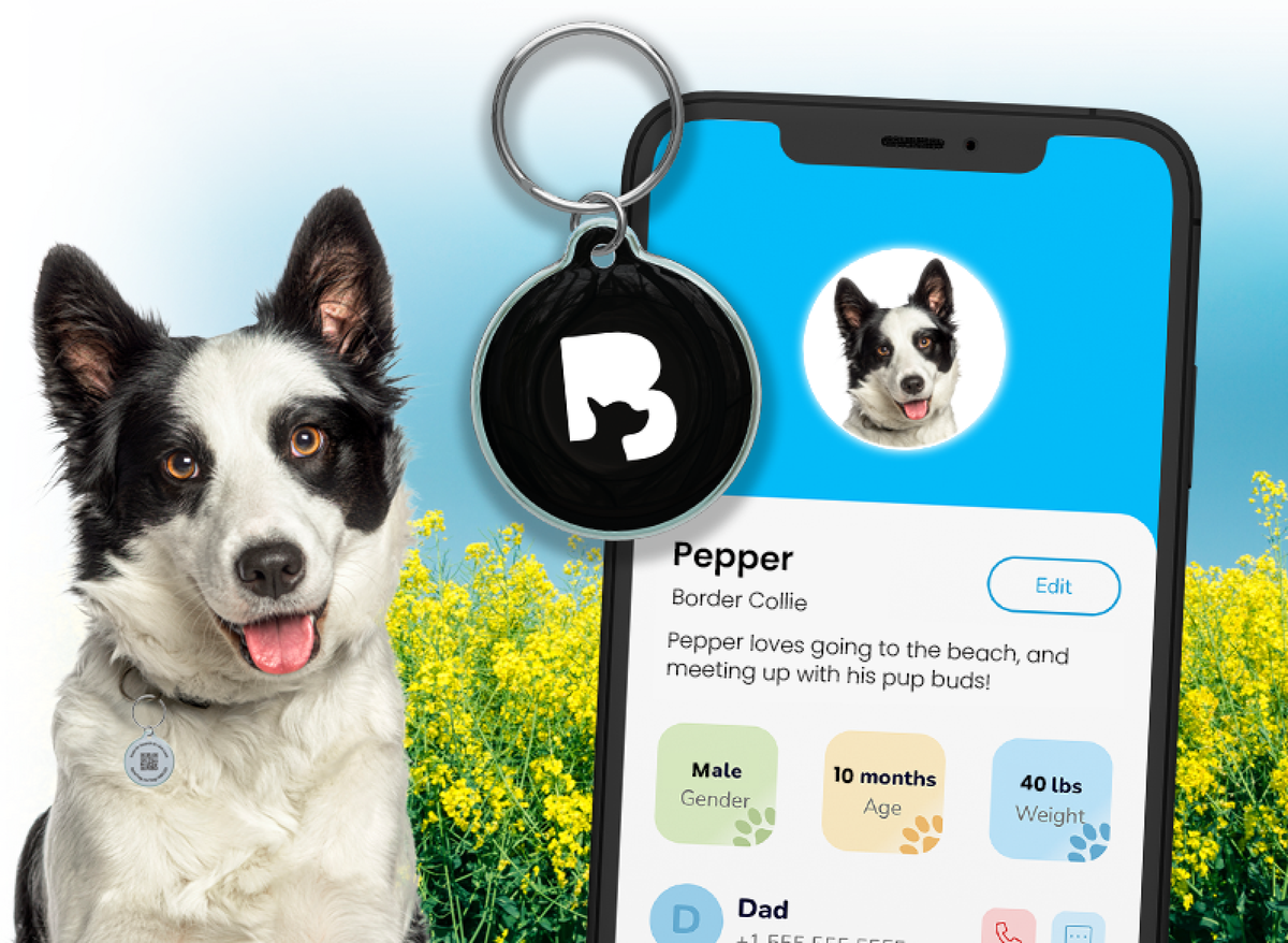 24Petwatch Get your Pet Tag ID with QR Code for Your Dogs and Cats