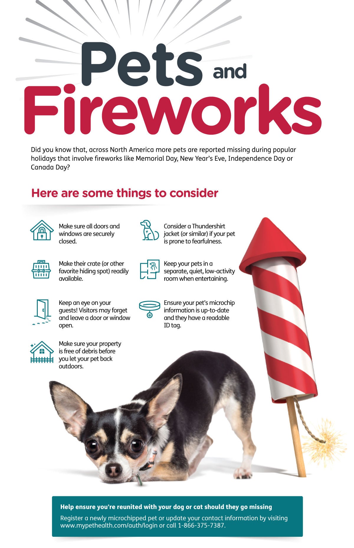 Pet  and Fireworks Infographic
