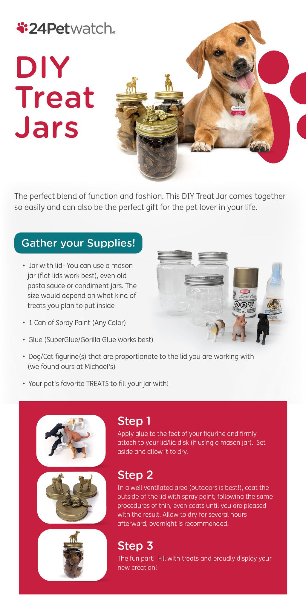 DIY Treat Jars Infographic