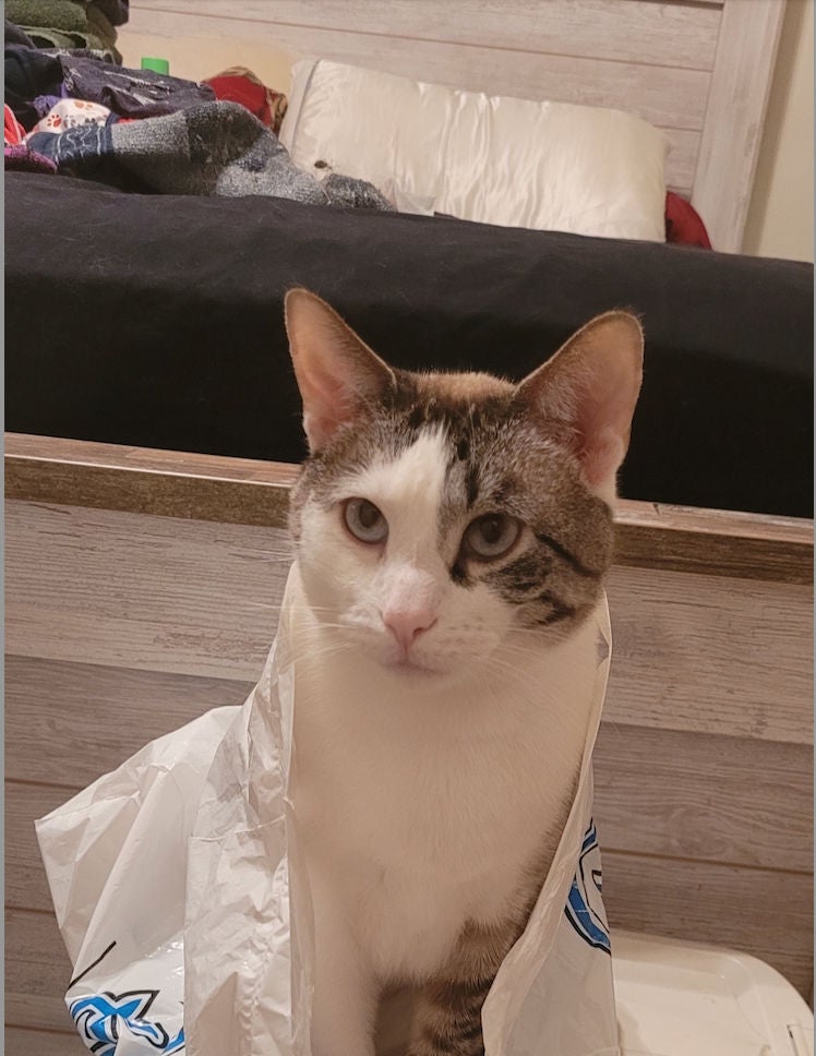 castiel