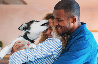 a couple embrace while also hugging their black and white dog who is licking them a couple embrace while also hugging their black and white dog who is licking them