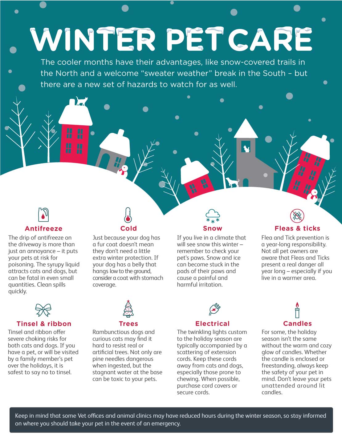 Winter Pet Care