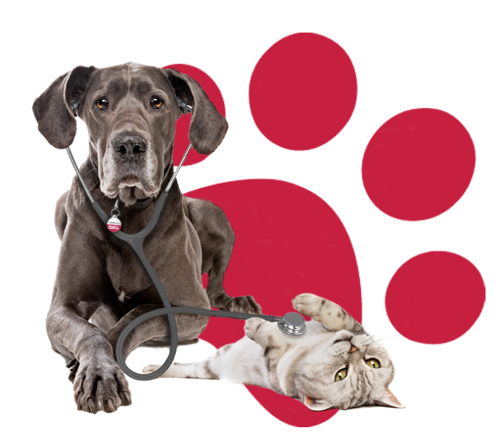 24Petwatch 24PetWatch Pet Insurance Quality Health Insurance