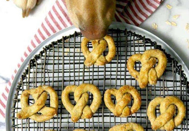 Dog nose sniffing homemade apple pretzels