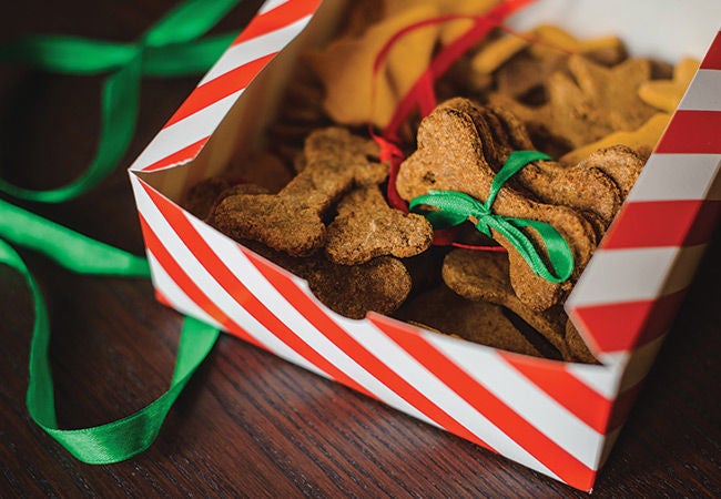 Blackberry Dog Biscuit in a holiday gift box