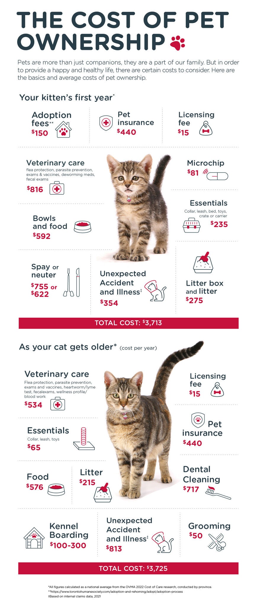 CAN Cost of Cat Ownership Infographic