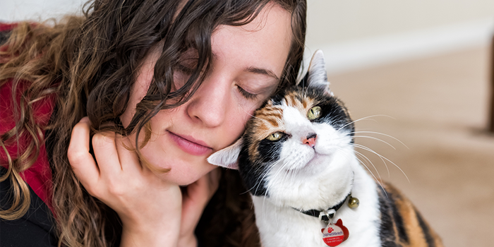 Why do cats purr?  Scientific American