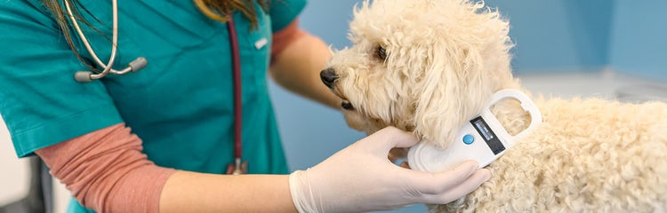24Petwatch Pet microchip registry How to easily register your