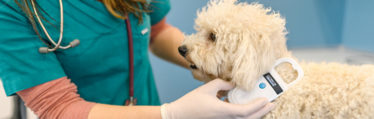 Protected pet hot sale microchip
