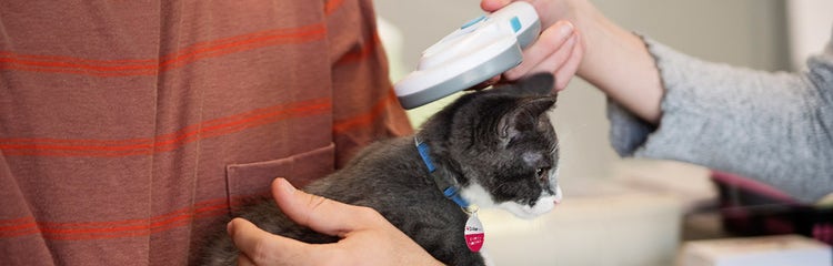 Free microchip store registry