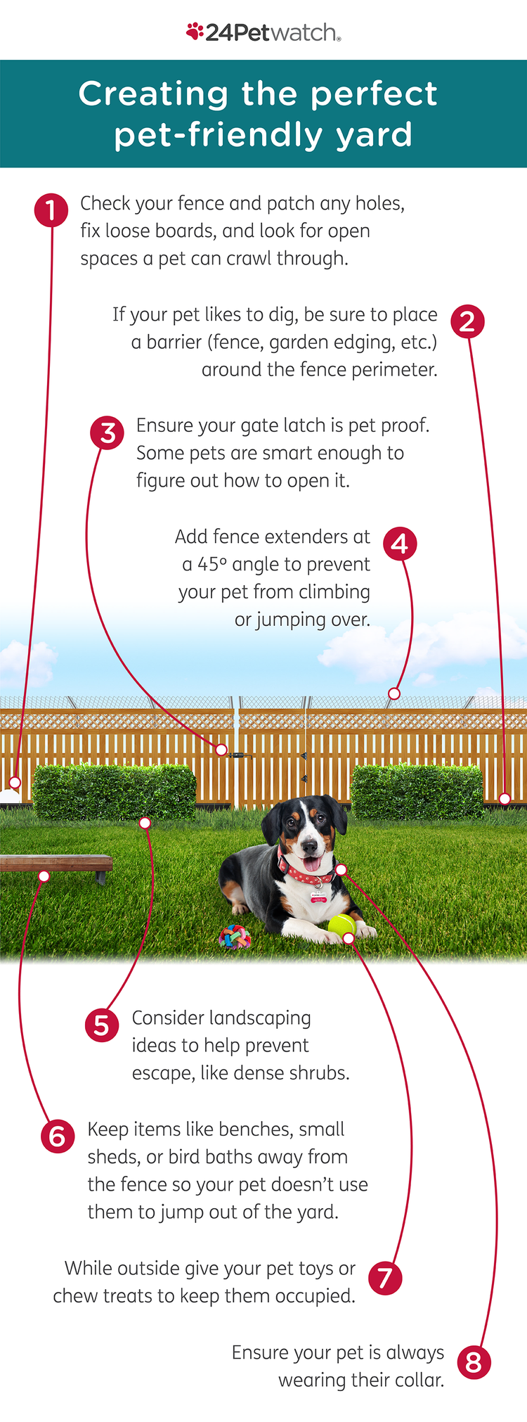 Pet-Proof-Your-Yard-Infographic.png