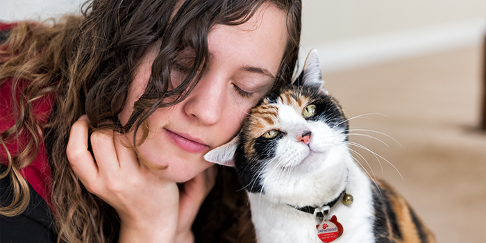 Cat purring and rubbing against young women