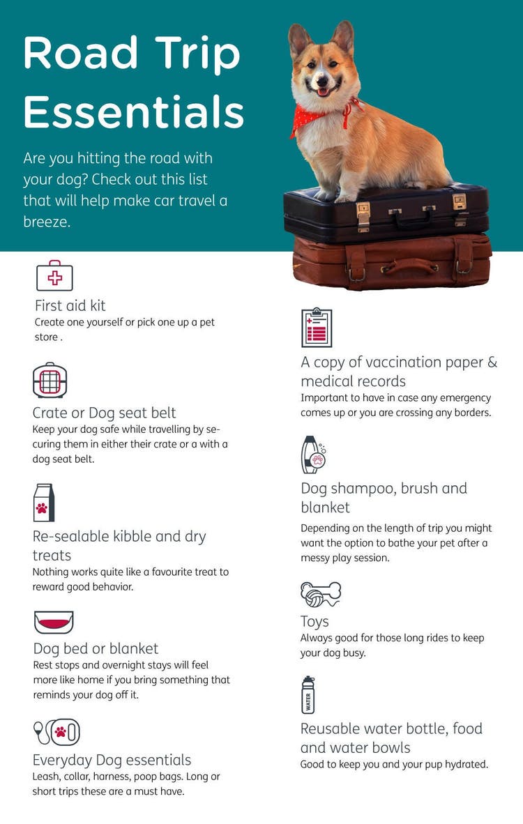 Road trip essentials infographic - US