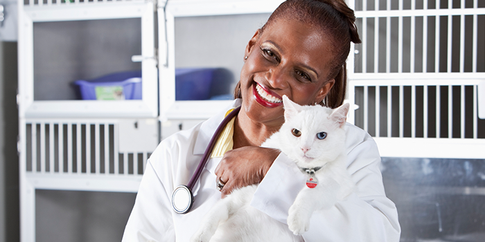 Cat purring and rubbing against young women
