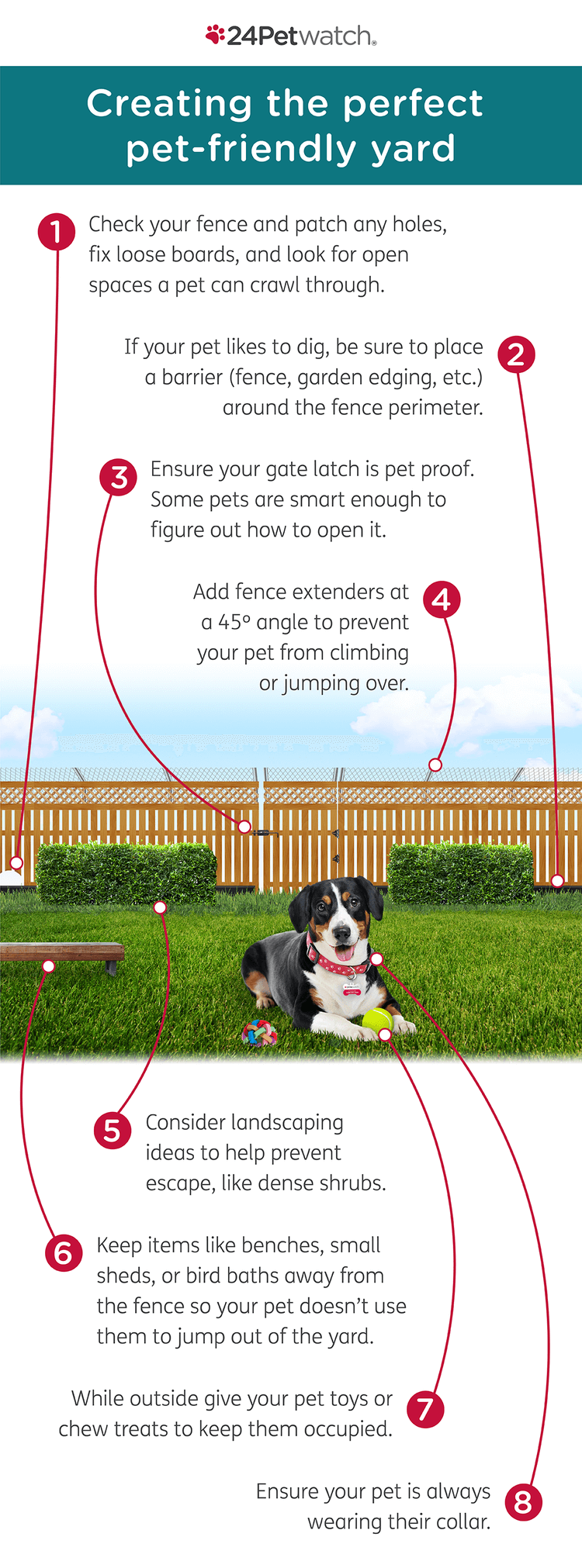 Pet Proof Your Yard Infographic