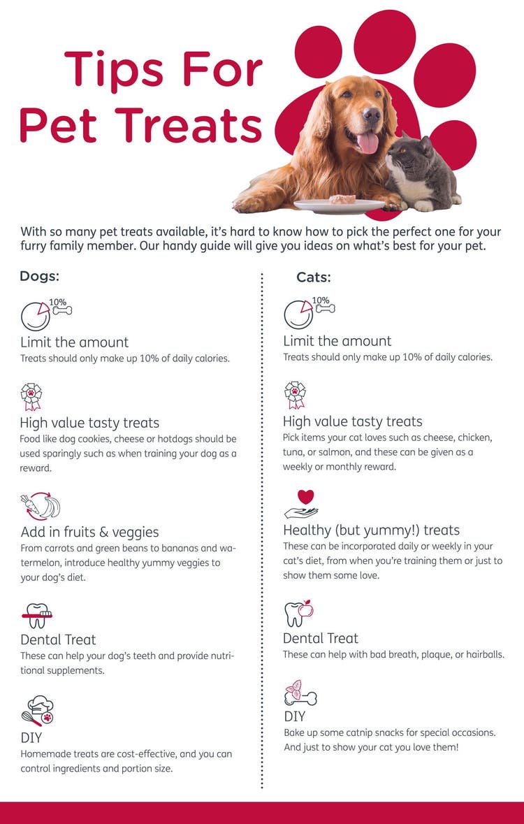 TIPS_FOR_PET_TREATS.JPG