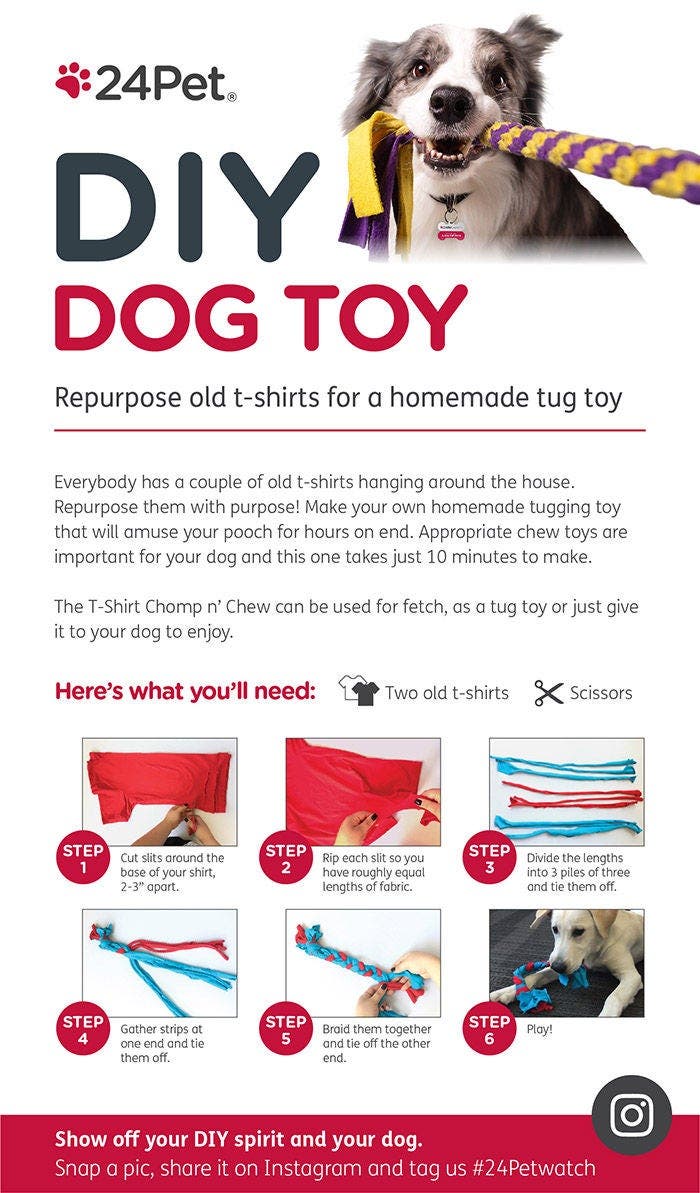 24PW-DIY-DOG-TOY.JPG
