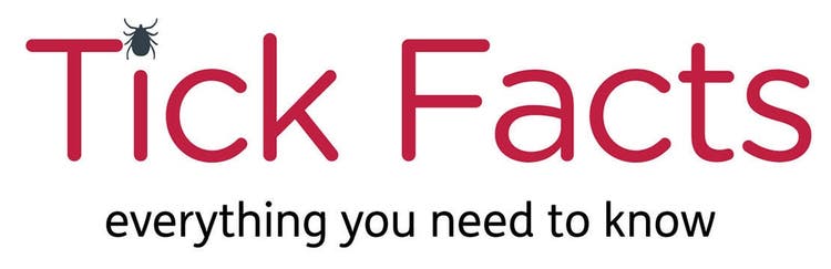 Tick facts – everything you need to know