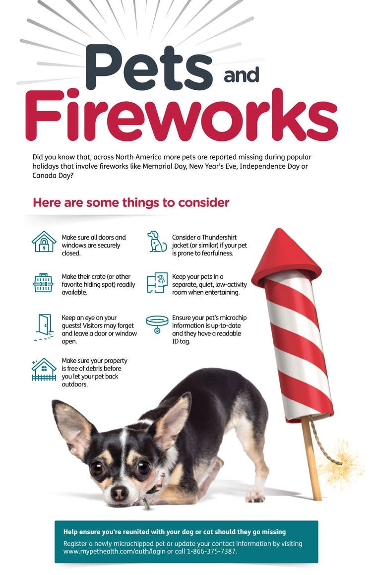 Pet and Fireworks Infographic