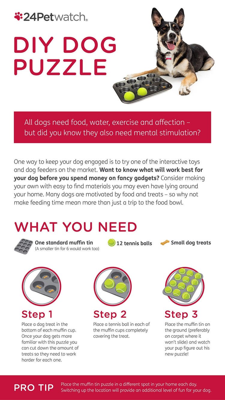 DIY Dog Puzzle Infographic