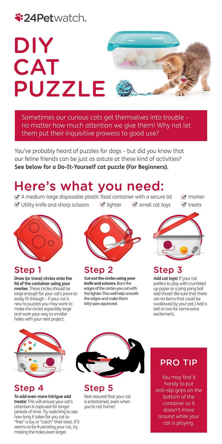 DIY Cat Puzzle Infographic