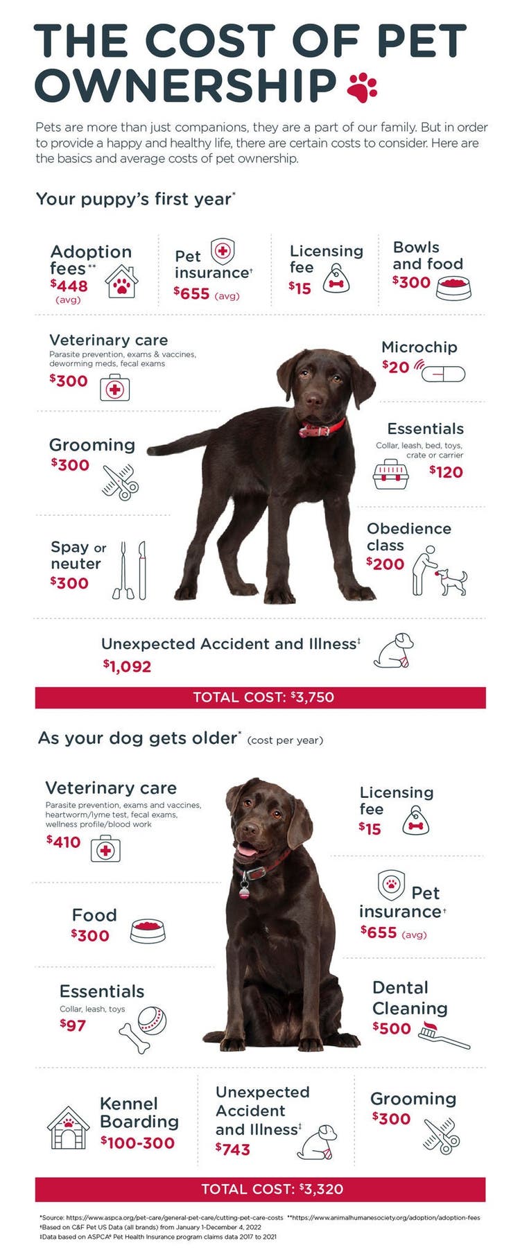 US Cost of Dog Ownership Infographic