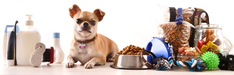 Dog supplies for new dog clearance