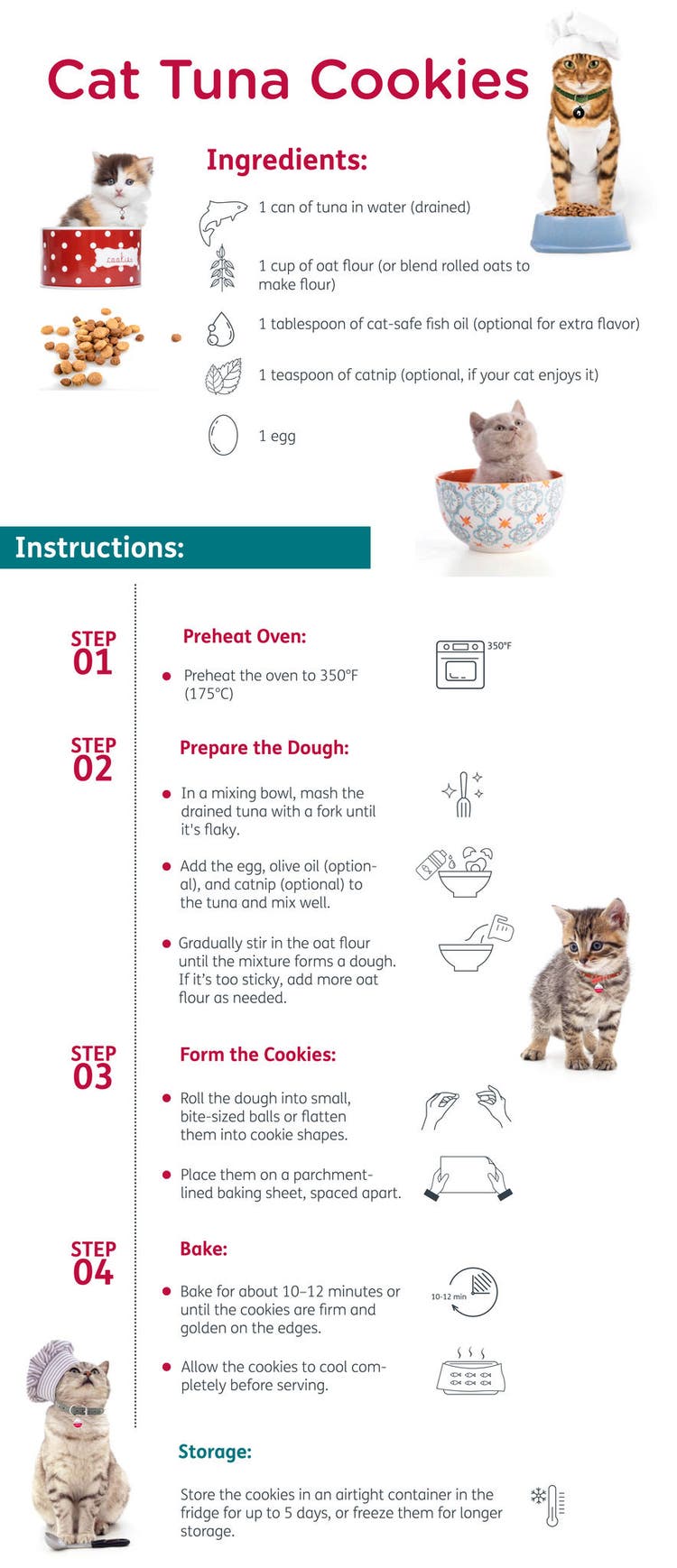 V2_Cat_Cookies