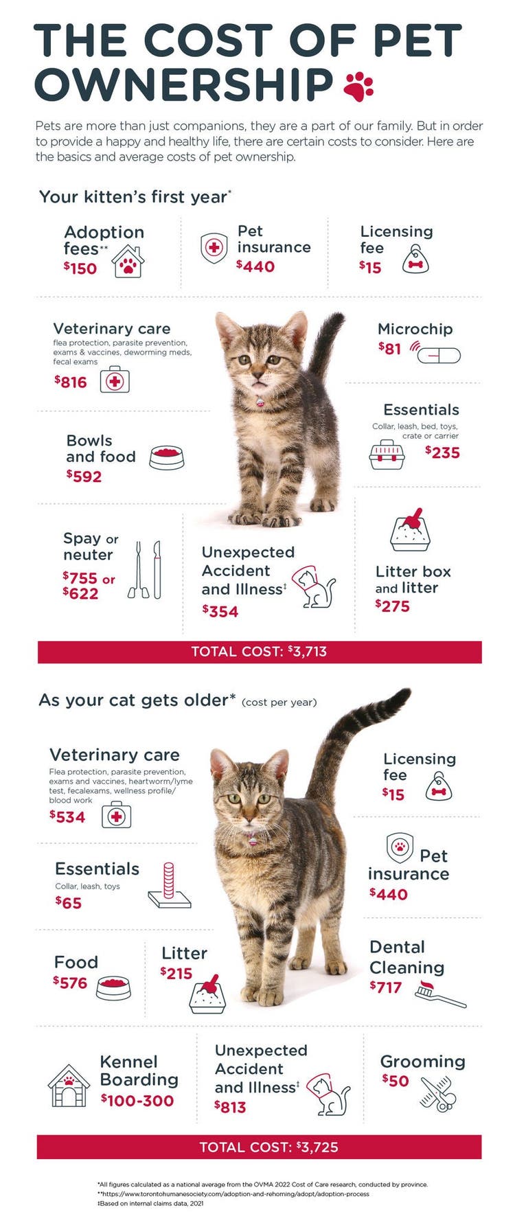 CAN Cost of Cat Ownership Infographic