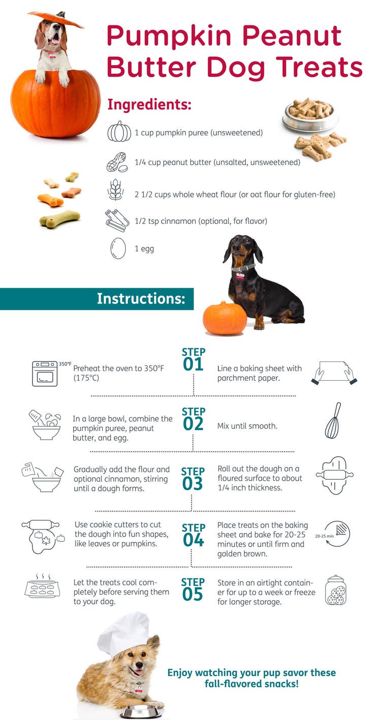 Dog Treats_2_