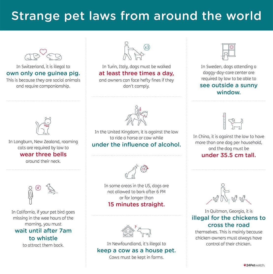 24petwatch-canada-strange-pet-laws-from-around-the-world
