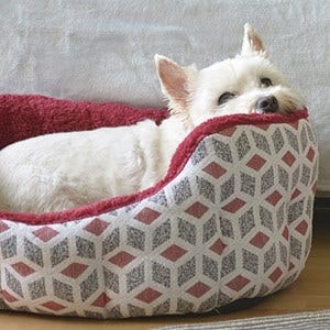 Dog beds that help with anxiety deals