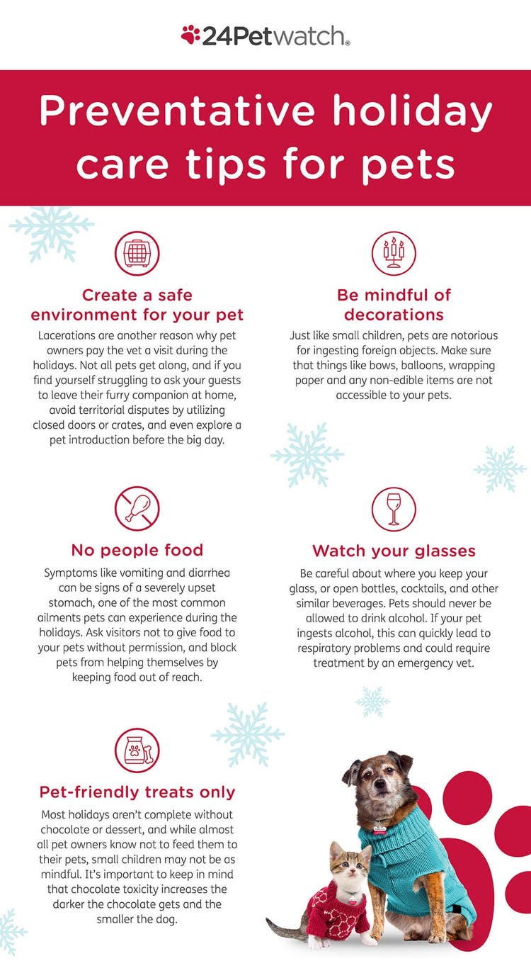 Holiday Dangers Infographic