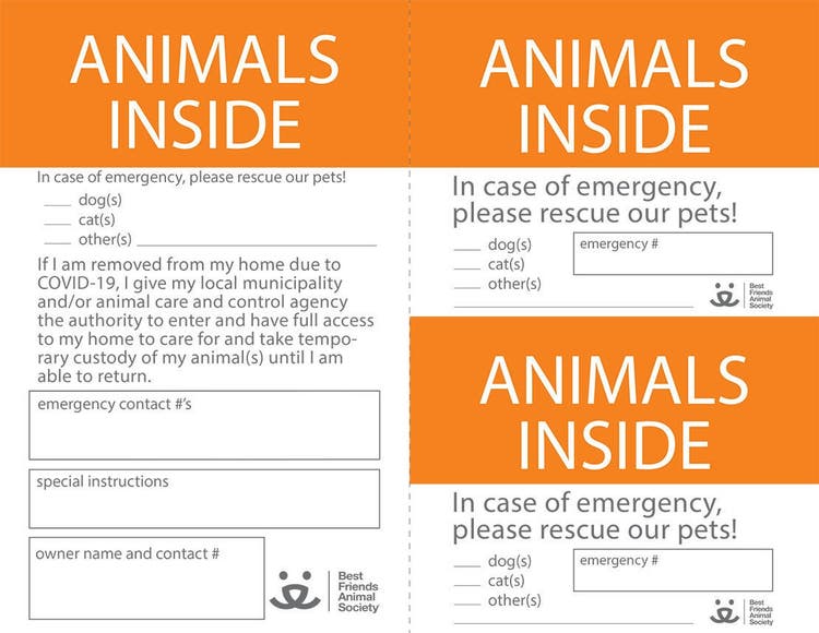 Animals Inside cards