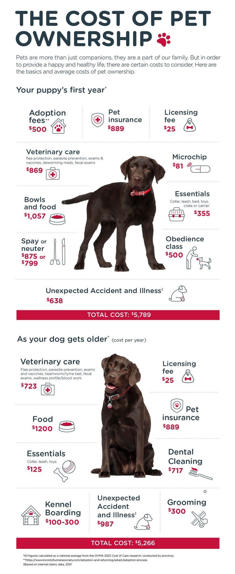 CAN Cost of Dog Ownership Infographic