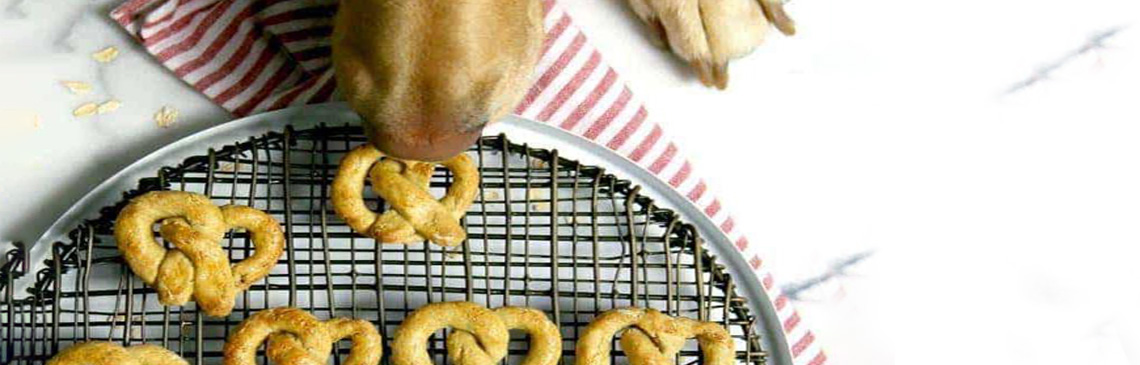 dog sniffing a tray of pet friendly Apple Pretzels