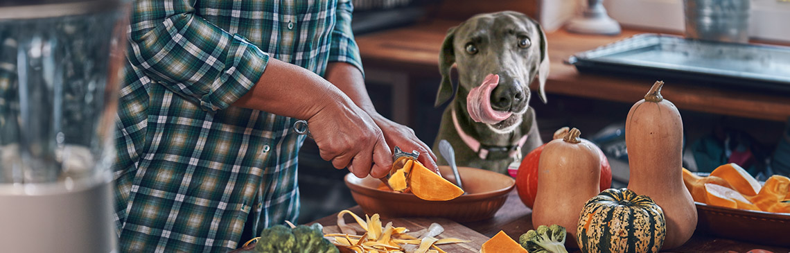 Dog surrounded by healthy fall foods that are pet friendly