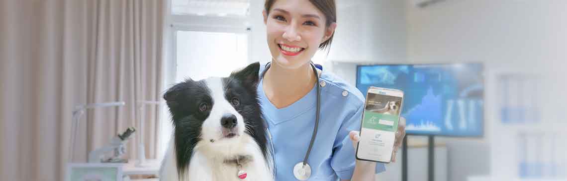 whiskerDocs-to-rescue_hero.jpg