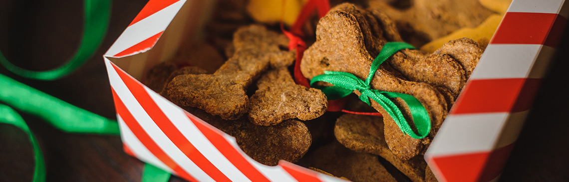 Blackberry Dog Biscuits in a holiday gift box