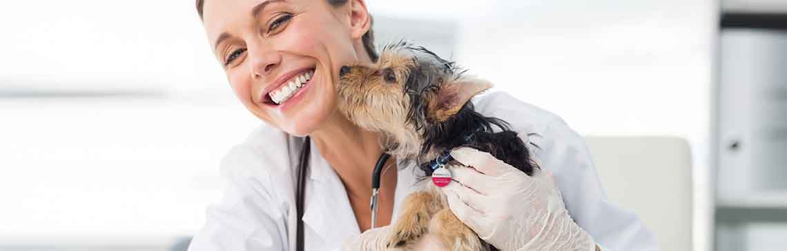 World-Vet-Day-hero