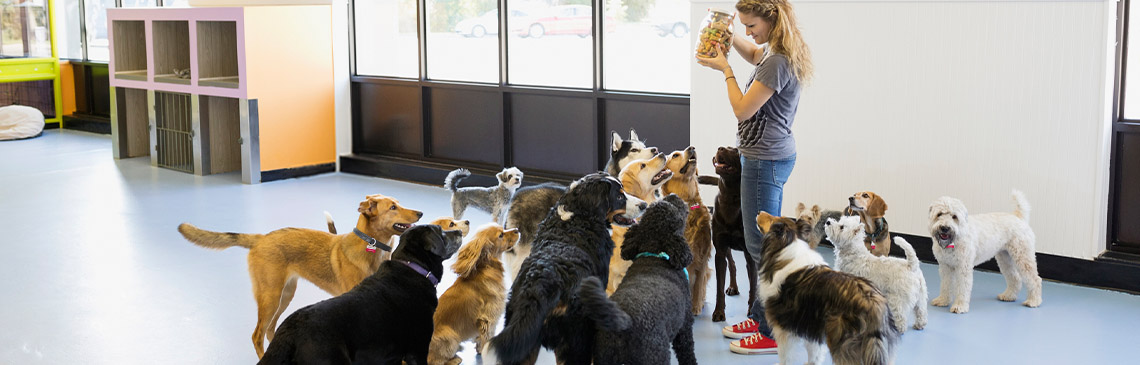 daycare_hero.jpg