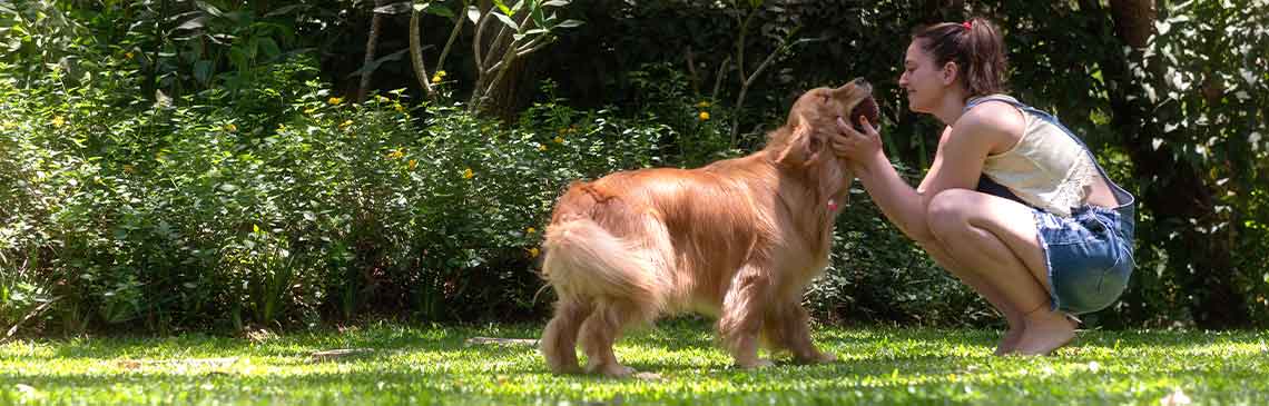 woman playing with the dog in a park