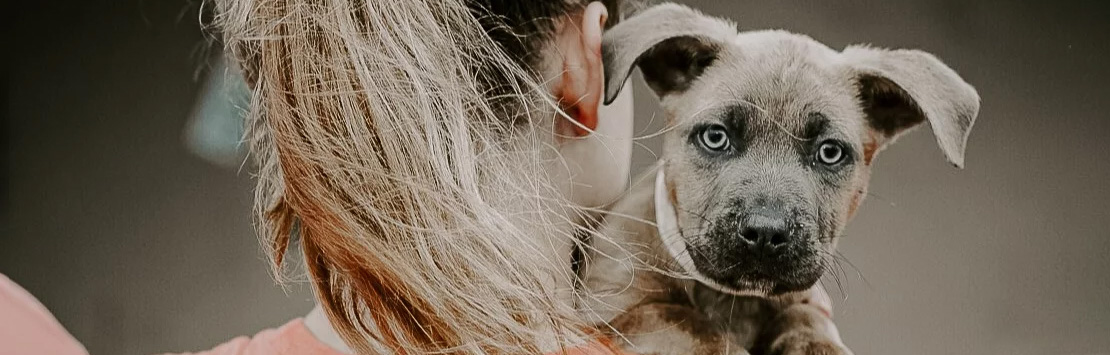 Puppy being held by woman