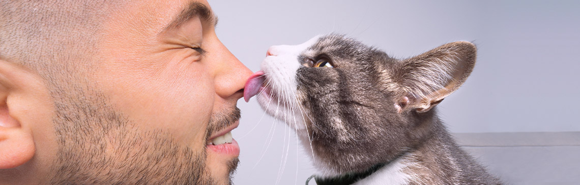 cat-licking_hero