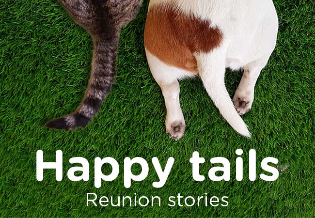Happy tails reunion – Corky’s return