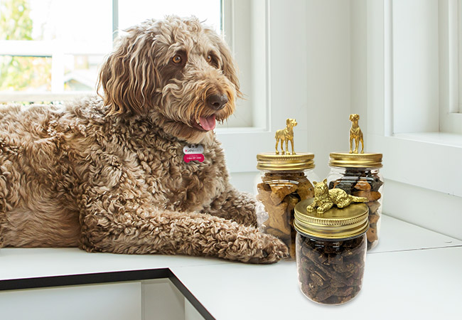 Crafting pet treat jars