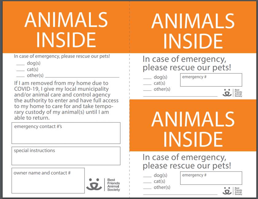 Animal Inside Card