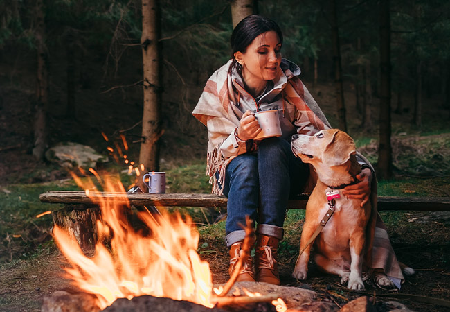 Uncover the best dog-friendly campgrounds in US and Canada