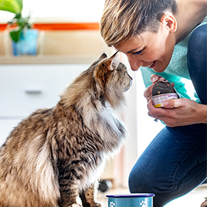 How to Find a Pet Sitter Image